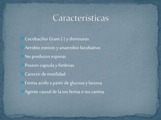 Cocobacilos Gram (-) y diminutos 
Aerobio estricto y anaerobio facultativo 
No producen esporas 
Poseen capsula y fimbrias 
Carecen de motilidad 
Forma acido a partir de glucosa y lactosa 
Agente causal de la tos ferina o tos canina 
 