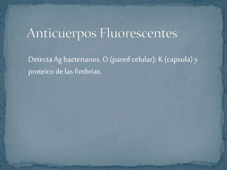 Detecta Ag bacterianos, O (pared celular); K (capsula) y 
proteico de las fimbrias. 
 