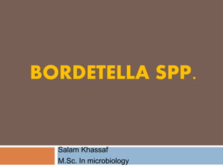 BORDETELLA SPP.
Salam Khassaf
M.Sc. In microbiology
 