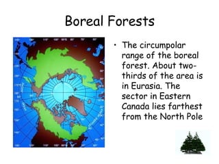 Boreal Forests ,[object Object]