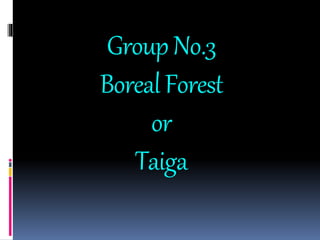 GroupNo.3
BorealForest
or
Taiga
 