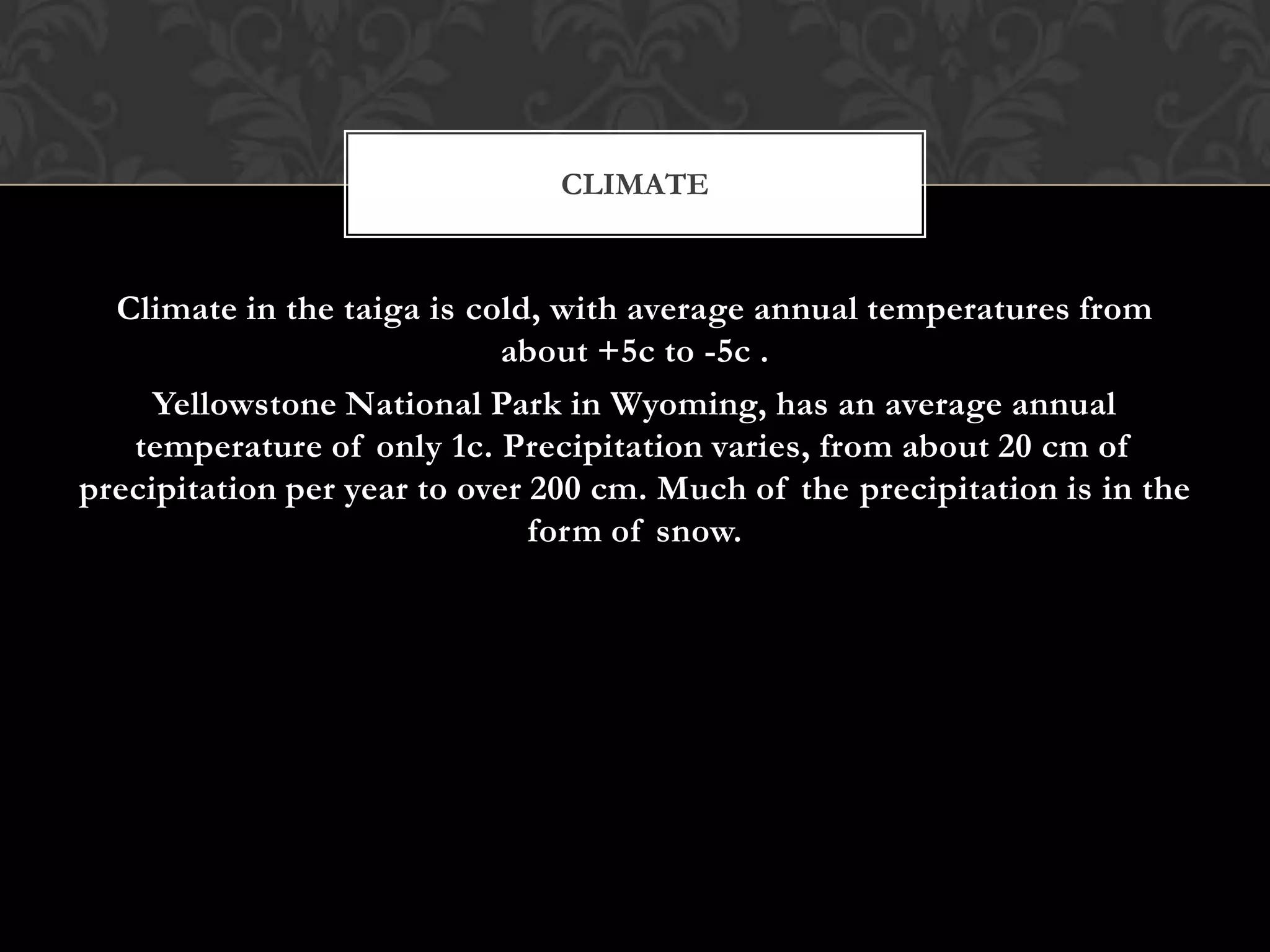 CLIMATE


  Climate in the taiga is cold, with average annual temperatures from
                             about +5c to -5c .
     Yellowstone National Park in Wyoming, has an average annual
   temperature of only 1c. Precipitation varies, from about 20 cm of
precipitation per year to over 200 cm. Much of the precipitation is in the
                               form of snow.
 