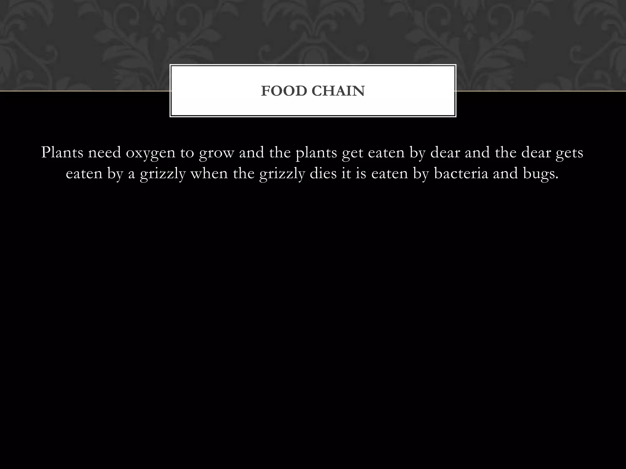FOOD CHAIN


Plants need oxygen to grow and the plants get eaten by dear and the dear gets
   eaten by a grizzly when the grizzly dies it is eaten by bacteria and bugs.
 