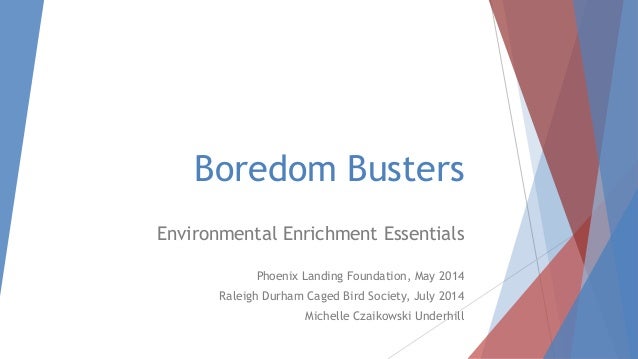 Boredom Busters
Environmental Enrichment Essentials
Phoenix Landing Foundation, May 2014
Raleigh Durham Caged Bird Society...