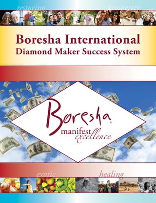 Boresha International
Diamond Maker Success System
 