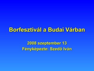 Borfesztivál a Budai Várban 2008 szeptember 13 Fényképezte: Szedő Iván 