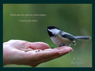 Basta que me quieras como amigo.  Gracias por serlo. J. L. Borges 
