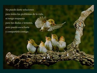 No puedo darte soluciones para todos los problemas de la vida, ni tengo respuesta para tus dudas o temores,  pero puedo escucharte y compartirlo contigo.  