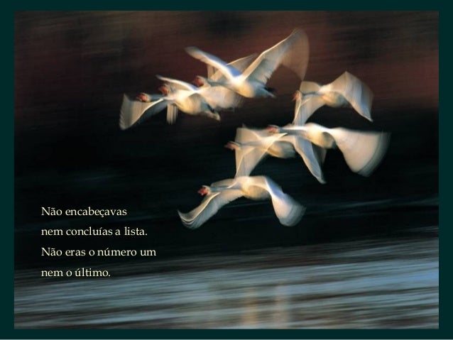 Borges Poema A Los Amigos