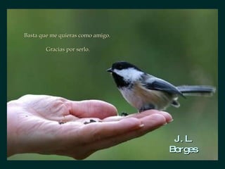 Basta que me quieras como amigo.  Gracias por serlo. J. L. Borges 