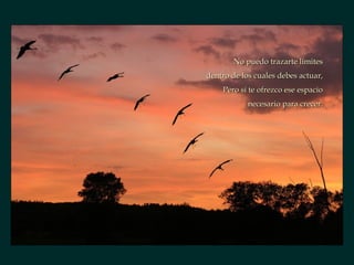 No puedo trazarte límites dentro de los cuales debes actuar, Pero sí te ofrezco ese espacio necesario para crecer. 