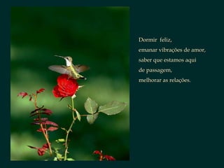 Dormir  feliz, emanar vibrações de amor, saber que estamos aqui  de passagem, melhorar as relações. 