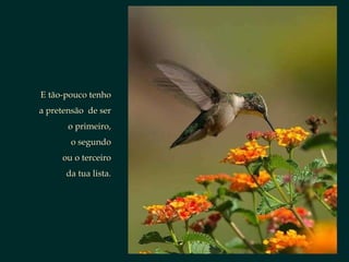 E tão-pouco tenho a pretensão  de ser o primeiro, o segundo ou o terceiro da tua lista. 