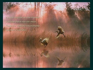 As tuas alegrias. os teus triunfos  e os teus êxitos não são meus.  Contudo,  desfruto sinceramente quando te vejo feliz.  