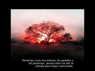 Mantengo vivos mis amores, los pasados y los presentes, porque ellos me dan la energía para seguir caminando. 