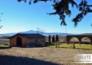 Azienda Agraria Vinicola Toscana - Pienza (Siena)