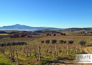 Azienda Agraria Vinicola Toscana - Pienza (Siena)