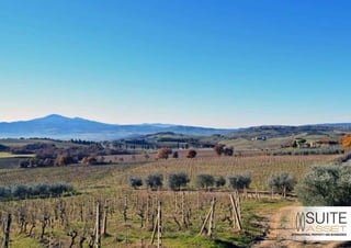 Azienda Agraria Vinicola Toscana - Pienza (Siena)