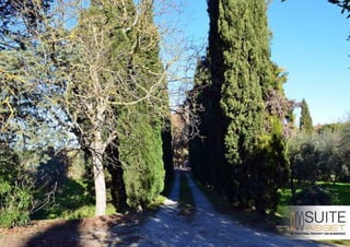 Azienda Agraria Vinicola Toscana - Pienza (Siena)