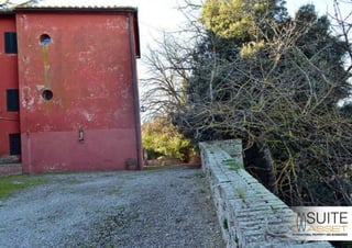 Azienda Agraria Vinicola Toscana - Pienza (Siena)