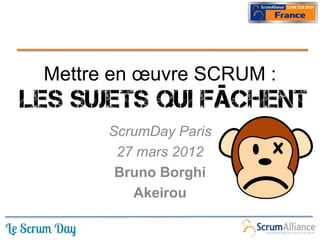 Mettre en œuvre SCRUM :

      ScrumDay Paris
       27 mars 2012
       Bruno Borghi
         Akeirou
 