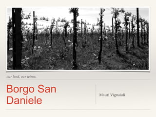 our land, our wines.
Borgo San
Daniele
Mauri Vignaioli
 