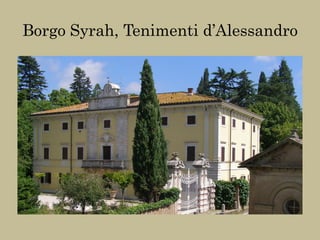 Borgo Syrah, Tenimenti d’Alessandro
 