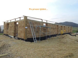 Po prvom týždni...
 