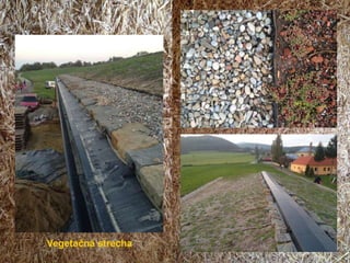Vegetačná strecha
 