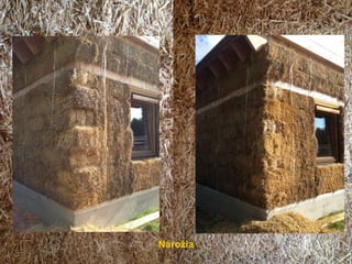 Nárožia
 