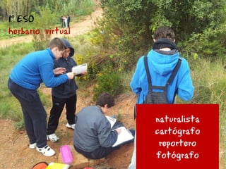 1º ESO
herbario virtual
naturalista
cartógrafo
reportero
fotógrafo
 