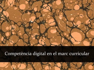 Competència digital en el marc curricular
 