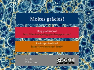 Moltes gràcies!

            Blog professional
http://lamiradapedagogica.blogspot.com/


          Pàgina professional
      http://www.xtec.cat/~bmir/



 Lleida
 Febrer, 2011
 