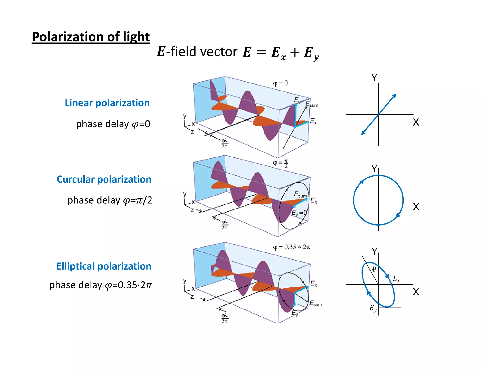 Polarization of light               Electrodynamics of Solids
                              ࡱ-field vector ࡱ = ࡱ࢞ + ࡱ࢟
                                                                Y

      Linear polarization
        phase delay ߮=0                                                   X



                                                                Y
    Curcular polarization
      phase delay ߮=ߨ/2
                                                                          X



                                                                Y
    Elliptical polarization                                     Ψ
                                                                     ‫ܧ‬௫
   phase delay ߮=0.35·2ߨ
                                                                          X
                                                                ‫ܧ‬௬
 