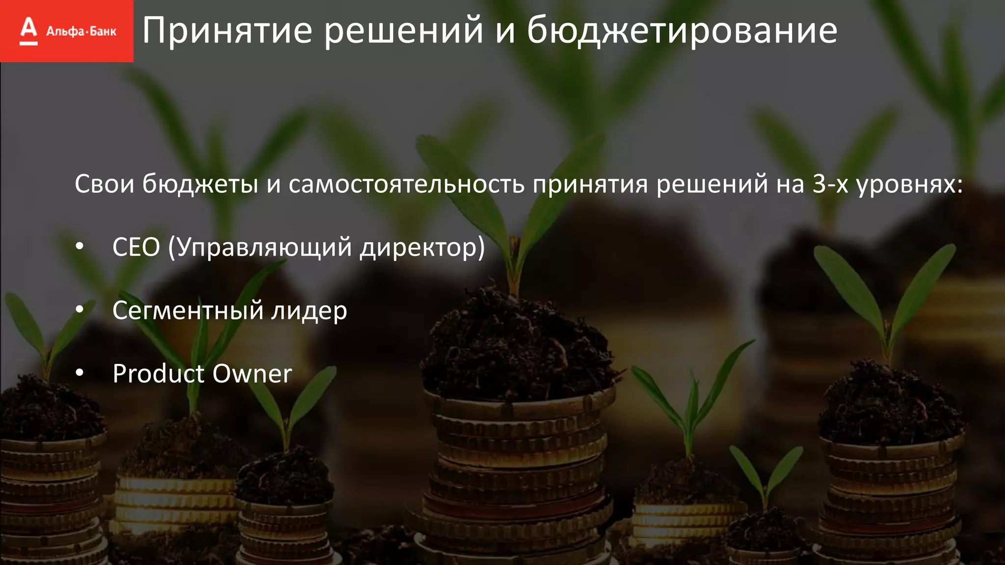 Принятие решений и бюджетирование
Свои бюджеты и самостоятельность принятия решений на 3-х уровнях:
• CEO (Управляющий директор)
• Сегментный лидер
• Product Owner
 