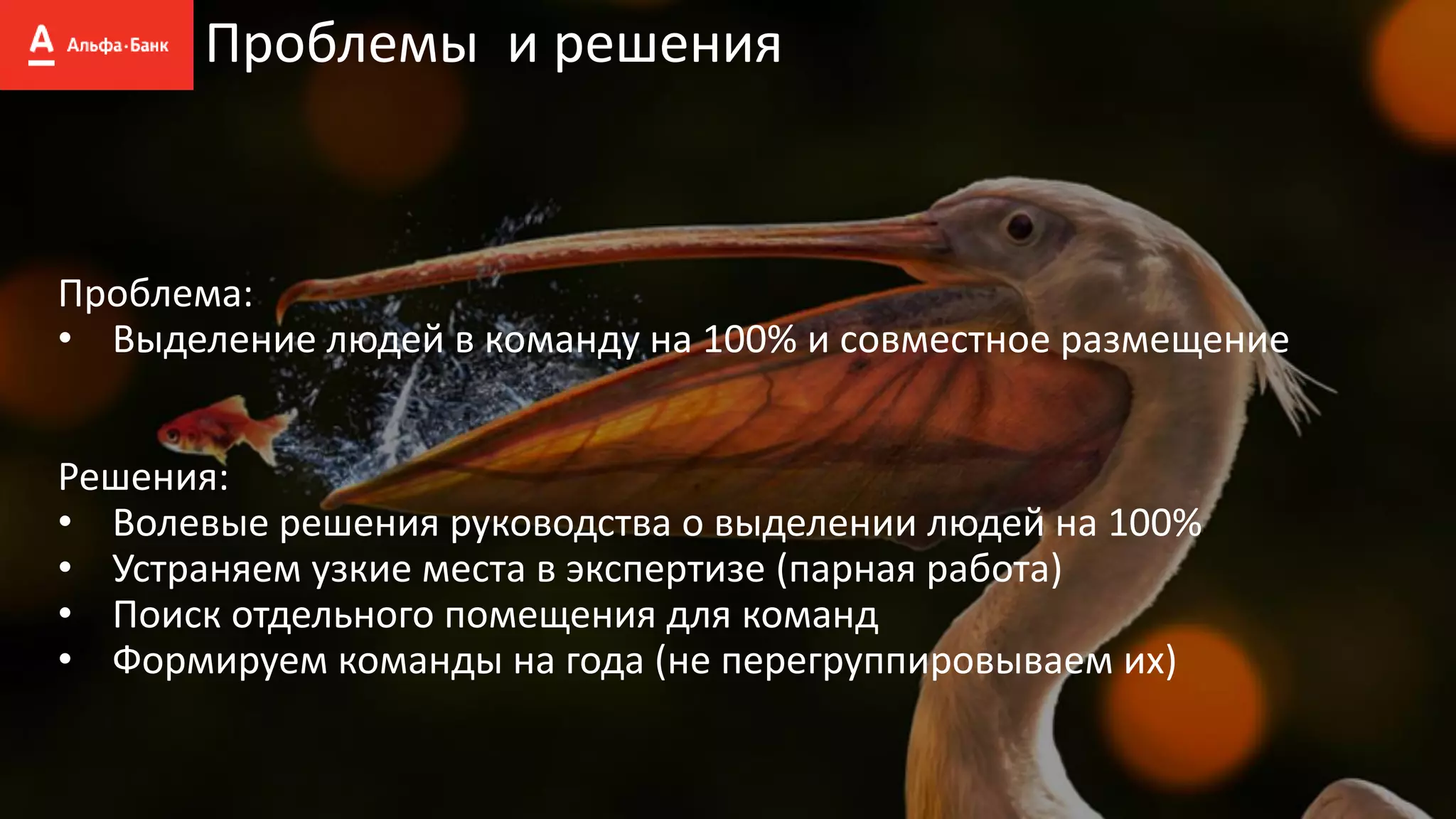 Проблемы и решения
Проблема:
• Выделение людей в команду на 100% и совместное размещение
Решения:
• Волевые решения руководства о выделении людей на 100%
• Устраняем узкие места в экспертизе (парная работа)
• Поиск отдельного помещения для команд
• Формируем команды на года (не перегруппировываем их)
 