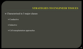  Characterised in 3 major classes
Conductive
Inductive
Cell transplantation approaches
10
 