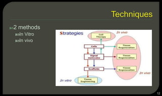 2 methods
In Vitro
In vivo
12
 