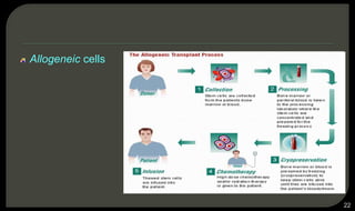 Allogeneic cells
22
 