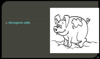 Xenogenic cells
23
 