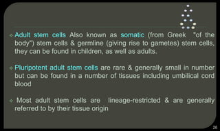  Adult stem cells Also known as somatic (from Greek "of the
body") stem cells & germline (giving rise to gametes) stem cells,
they can be found in children, as well as adults.
 Pluripotent adult stem cells are rare & generally small in number
but can be found in a number of tissues including umbilical cord
blood
 Most adult stem cells are lineage-restricted & are generally
referred to by their tissue origin
26
 