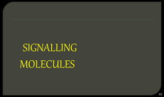 SIGNALLING
MOLECULES
40
 