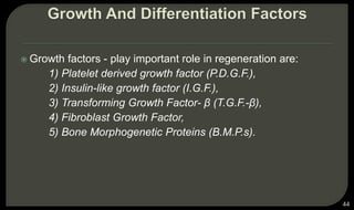  Growth factors - play important role in regeneration are:
1) Platelet derived growth factor (P.D.G.F.),
2) Insulin-like growth factor (I.G.F.),
3) Transforming Growth Factor- β (T.G.F.-β),
4) Fibroblast Growth Factor,
5) Bone Morphogenetic Proteins (B.M.P.s).
44
 