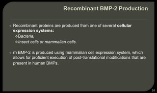  Recombinant proteins are produced from one of several cellular
expression systems:
Bacteria,
Insect cells or mammalian cells.
 rh BMP-2 is produced using mammalian cell expression system, which
allows for proficient execution of post-translational modifications that are
present in human BMPs.
51
 