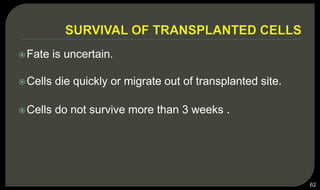 Fate is uncertain.
Cells die quickly or migrate out of transplanted site.
Cells do not survive more than 3 weeks .
62
 