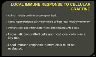  Animal models are immunocompromised.
 Tissue regeneration is partly controlled by host local microenvironment
 Immune cells and inflammatory cells affect transplanted cells
 Cross talk b/w grafted cells and host local cells play a
key role.
 Local immune response to stem cells must be
evaluated.
63
 