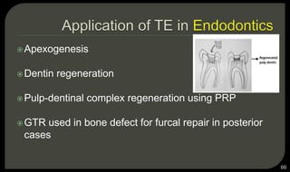 Apexogenesis
Dentin regeneration
Pulp-dentinal complex regeneration using PRP
GTR used in bone defect for furcal repair in posterior
cases
66
 