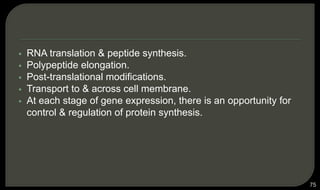  RNA translation & peptide synthesis.
 Polypeptide elongation.
 Post-translational modifications.
 Transport to & across cell membrane.
 At each stage of gene expression, there is an opportunity for
control & regulation of protein synthesis.
75
 