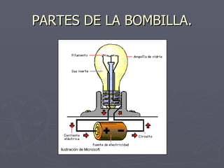 PARTES DE LA BOMBILLA.