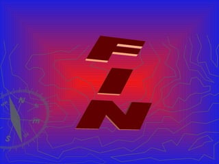 FIN